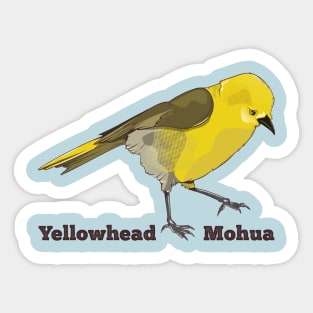 Mohua Yellowhead Sticker